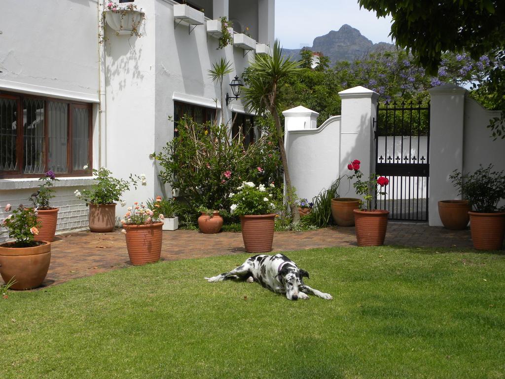 Applegarth B&B And Self-Catering Studios Le Cap Extérieur photo