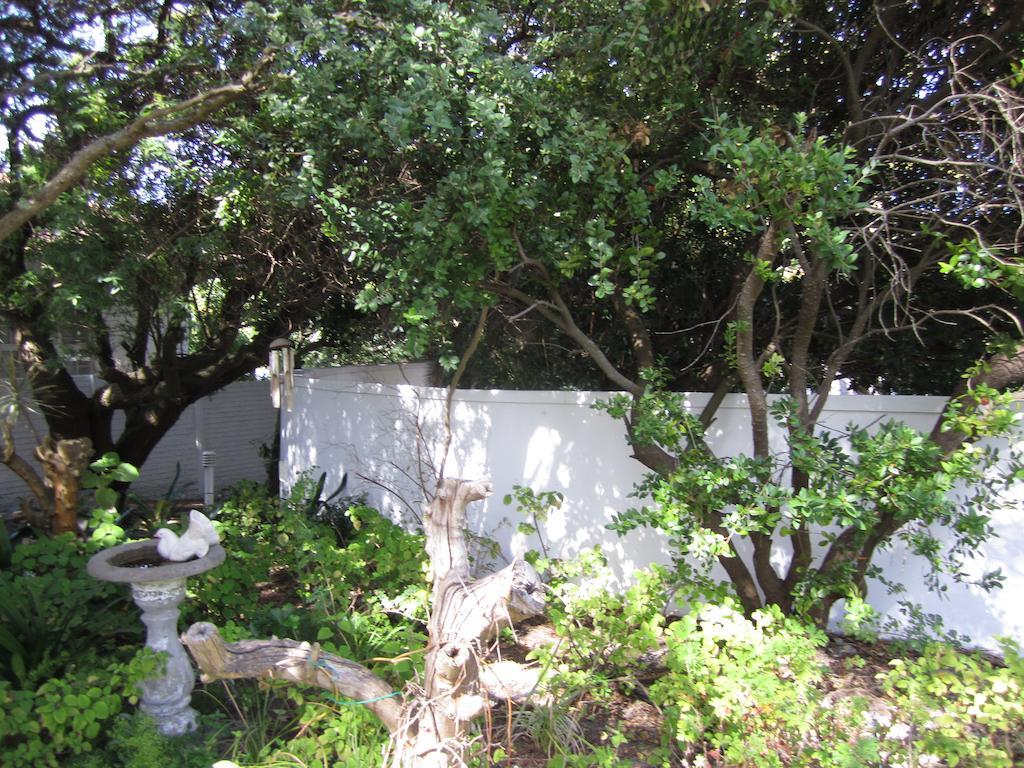 Applegarth B&B And Self-Catering Studios Le Cap Extérieur photo
