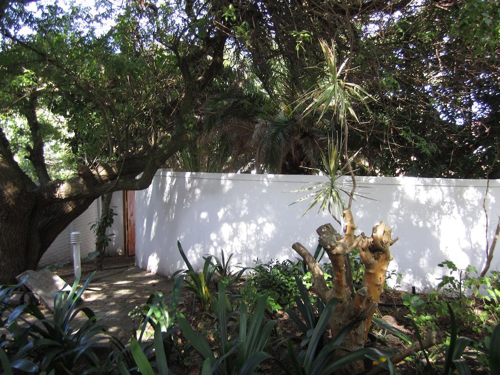 Applegarth B&B And Self-Catering Studios Le Cap Extérieur photo
